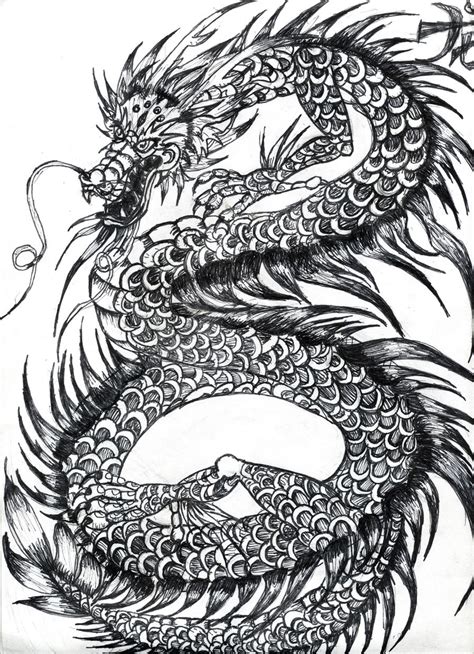 dragon art|dragon art black and white.